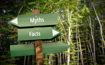 The Top 9 Myths for Divorce in Minnesota